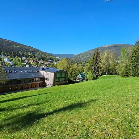 Apartament Rezidence Alpina - 15 *
